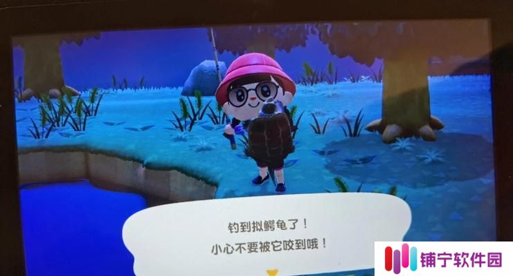 《动物森友会》南北半球都有的缺点（全面解析游戏中的问题）