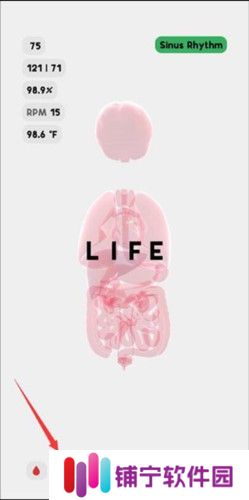 生命life