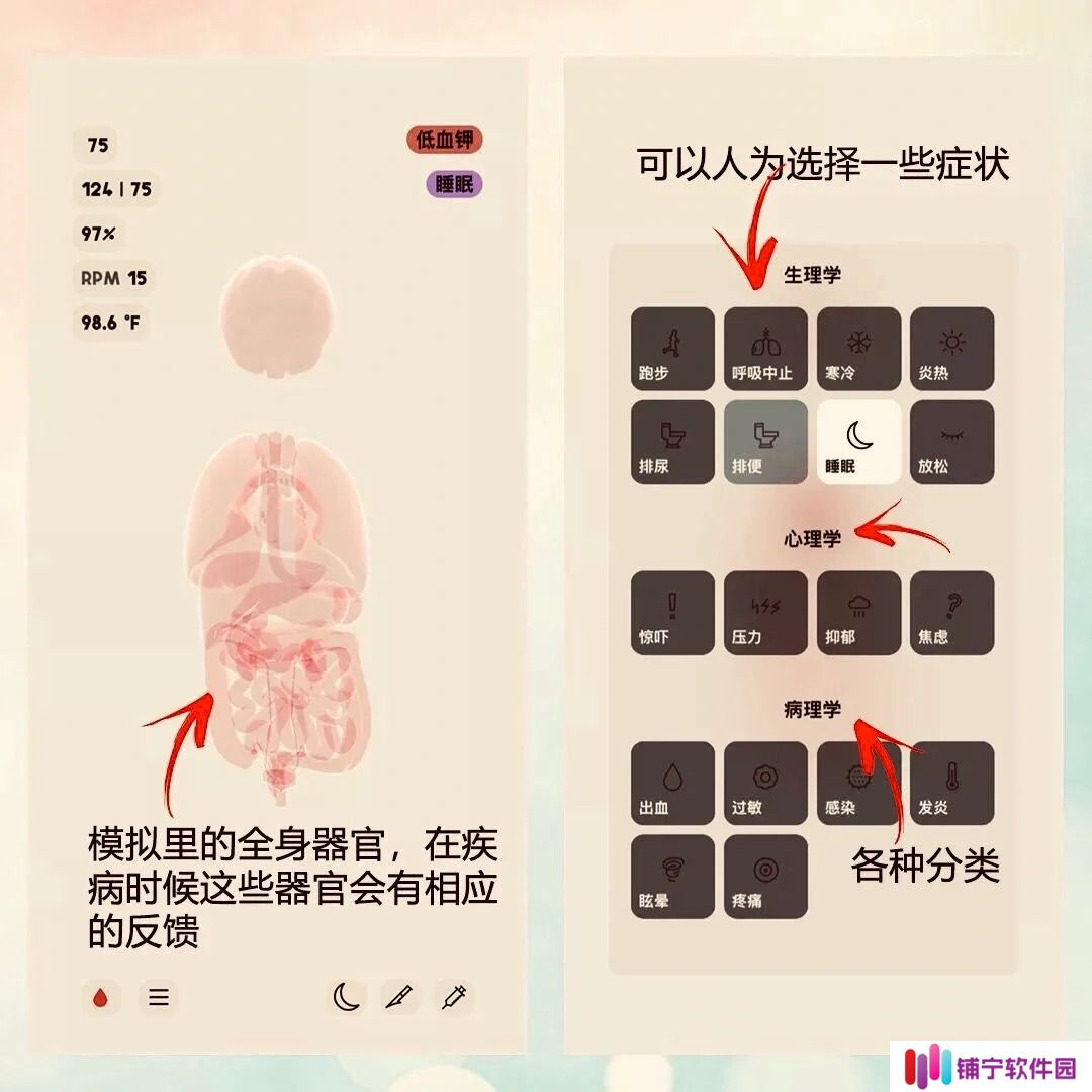 生命life