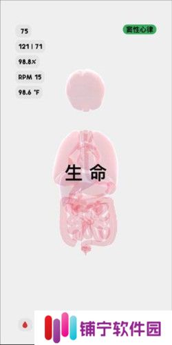 生命life