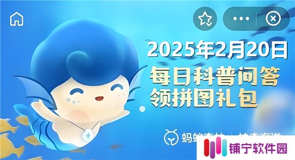 猜一猜瓷蟹属于以下哪种动物-神奇海洋2月20日答案2025