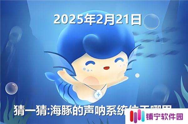 猜一猜海豚的声呐系统位于哪里-神奇海洋2月21日答案2025