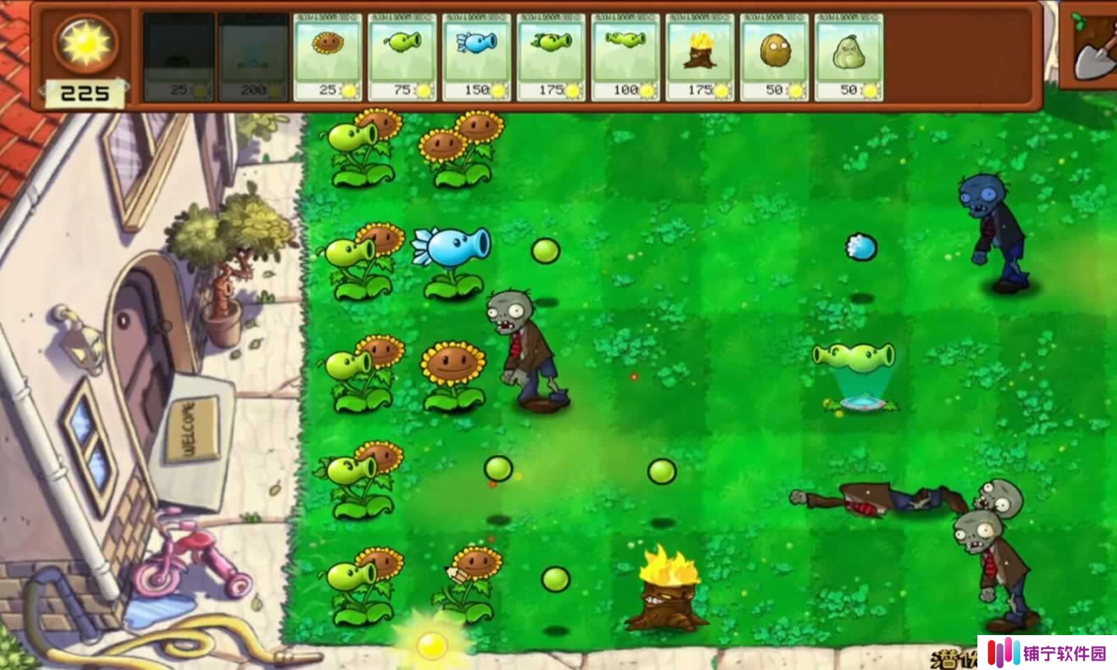 植物大战僵尸拼接版
