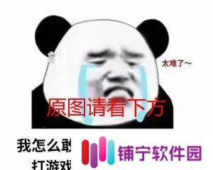 《坠爱》（探索游戏世界中的真爱）