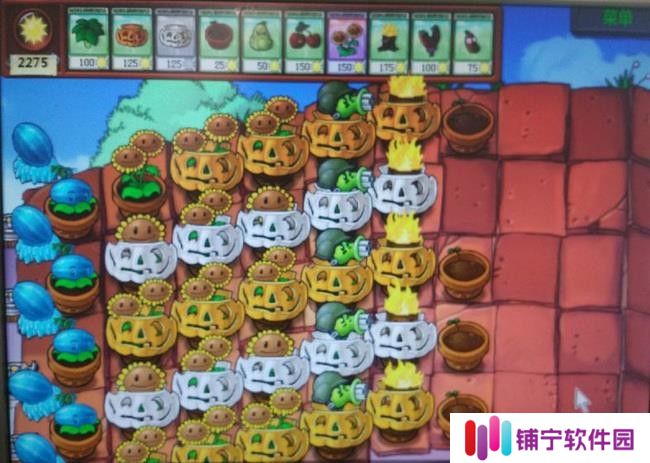 植物大战僵尸屋顶大块头和气球怎么过关？