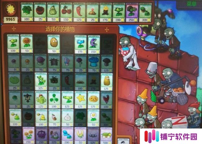 植物大战僵尸屋顶大块头和气球怎么过关？