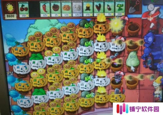 植物大战僵尸屋顶大块头和气球怎么过关？