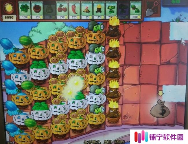 植物大战僵尸屋顶大块头和气球怎么过关？
