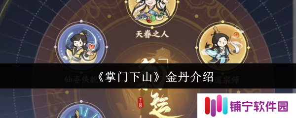 掌门下山金丹怎么用  掌门下山金丹介绍